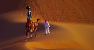 google-street-view-camel-liwa-desert-11