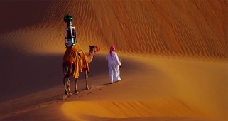 google-street-view-camel-liwa-desert-11